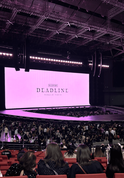 BLACKPINK concert, view from the crowd